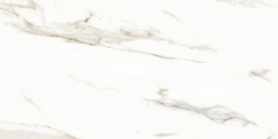 Керамогранит Neodom Splendida Marmol Carrara Polished N12028 60x120