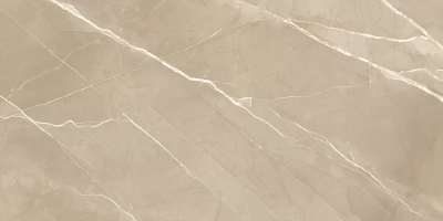 Керамогранит New Trend 60120ESE21P Essential Marron полированный 600*1200