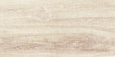 Керамогранит ETILI Seramik MESE Beige Mat 60x120