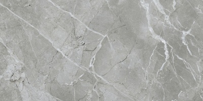 Silkmarble Бреча Серый Матовый R9 60x120